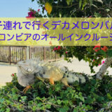 子連れで行くデカメロンバル|コロンビアのオールインクルーシブ宿泊レビュー